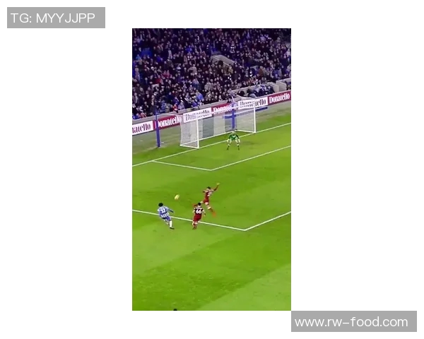 成都网球队快攻战术解析与深度剖析网球竞技的魅力与挑战 成都网球队快攻战术解析与深度剖析网球竞技的魅力与挑战