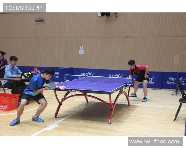 武汉乒乓球队选拔赛技术表现分析与未来发展展望 武汉乒乓球队选拔赛技术表现分析与未来发展展望